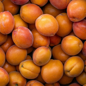 Apricot Kernel