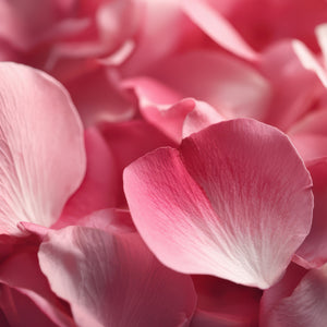Rose Damascena Hydrosol