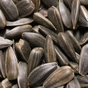 Sunflower Seed